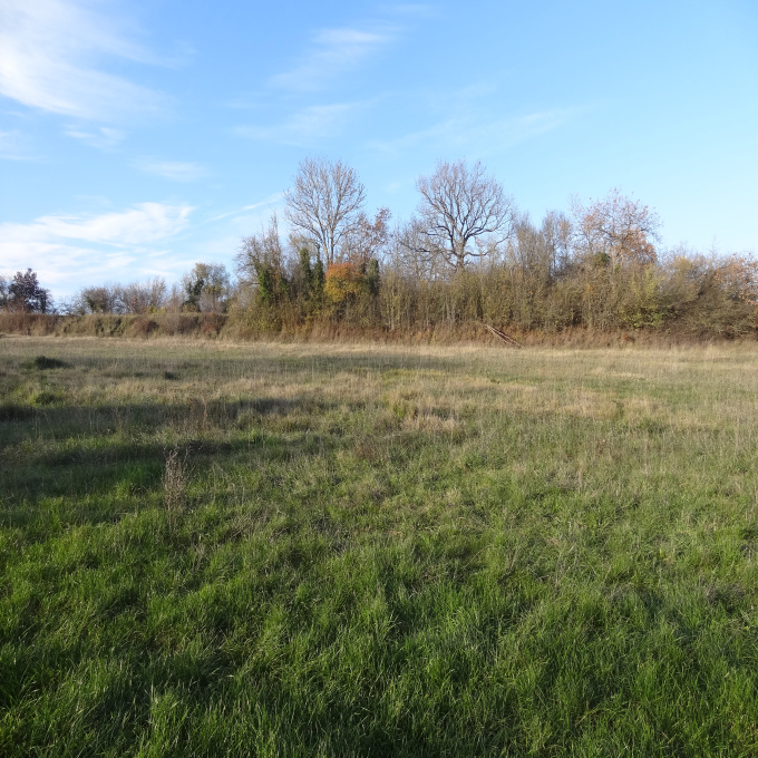 Offres de vente Terrain Guillerval (91690)